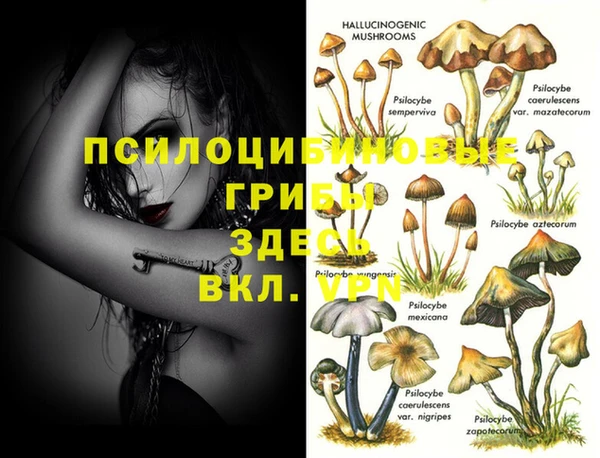 гидропоника Лихославль